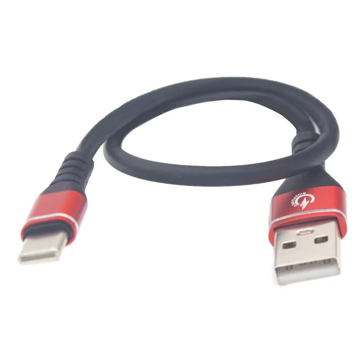 RidePower Male USB-C to Male USB-C Cable - Phone - Charger - 12"
