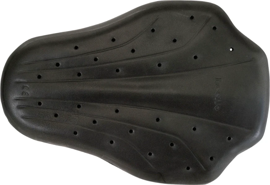Z1R Back Guard